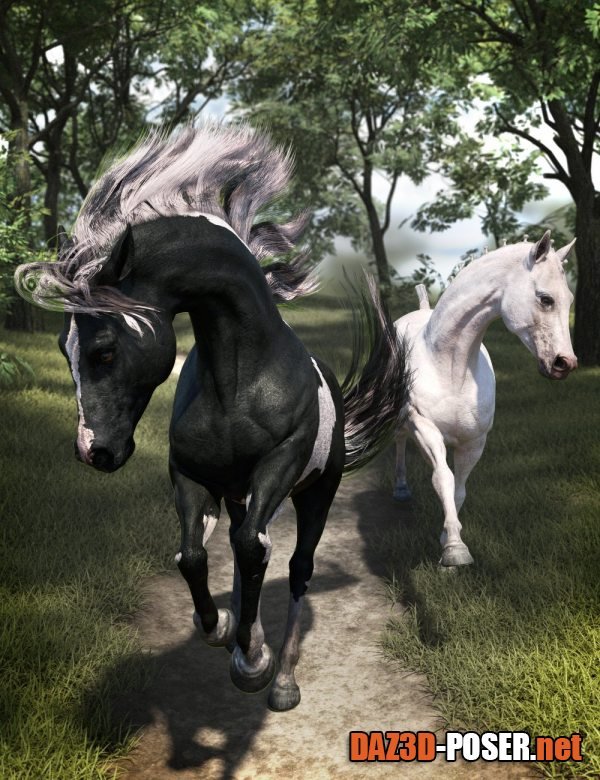 Dawnload Horse Hair Basic Materials Addon for the Daz Horse 3 for free