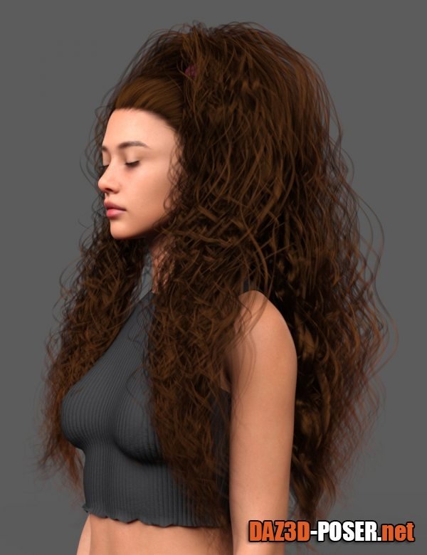 Dawnload PA Brunhilde Hair for Genesis 9 for free