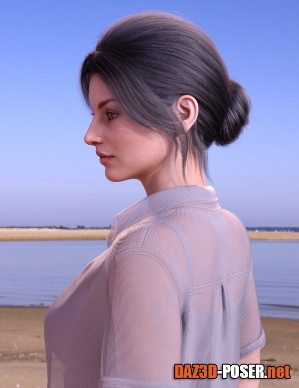Dawnload BS Updo Hair for Genesis 9, 8.1, and 8 Female for free