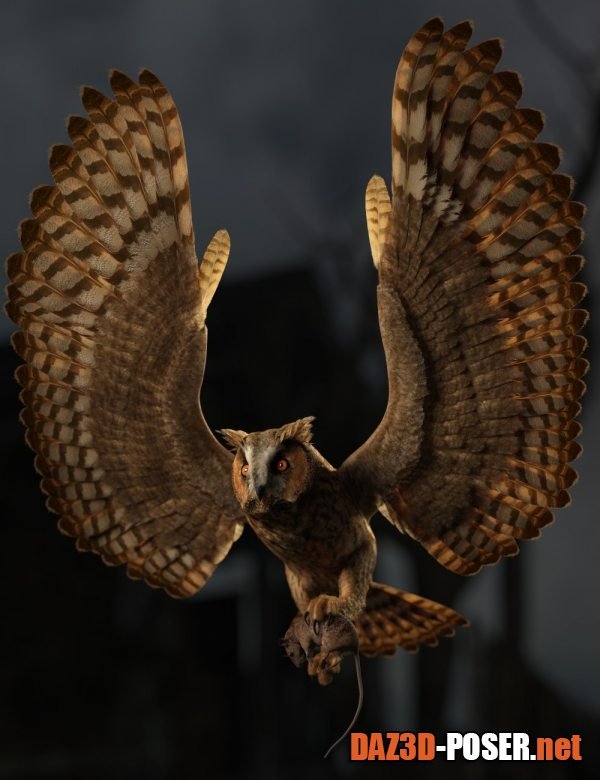 Dawnload DS Fantasy Owl Species for free