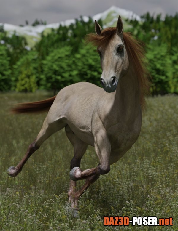 Dawnload DS Horse for Daz Horse 3 for free