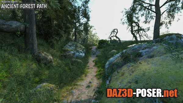 Dawnload Modular 3D Kits: Ancient Forest Path for free