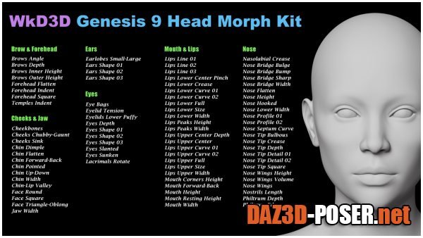 Dawnload WkD3D Genesis 9 Head Morph Kit for free