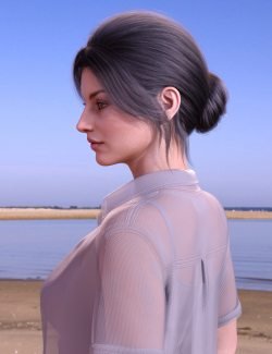 BS Updo Hair for Genesis 9, 8.1, and 8 Female