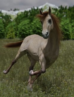 DS Horse for Daz Horse 3